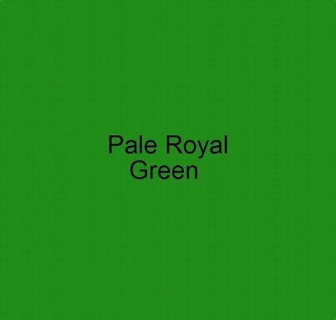 Craftmaster Signwriting paint Pale Royal Green